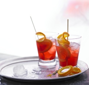 Sloe Gin | Sloe Gin Party Servings