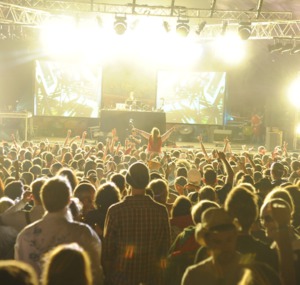 Standon Calling | August News and Events